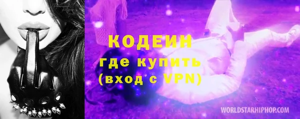 прущий лед Алзамай