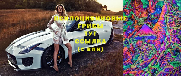 прущий лед Алзамай