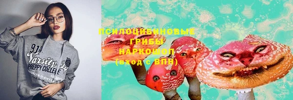 прущий лед Алзамай