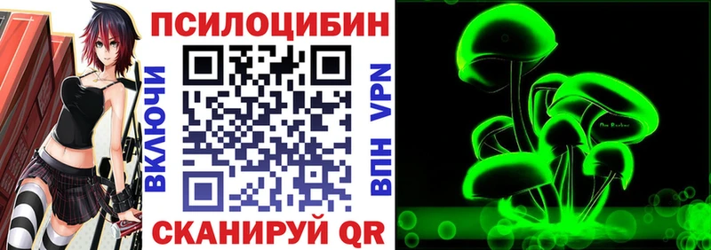 хочу наркоту  Анжеро-Судженск  Псилоцибиновые грибы прущие грибы 