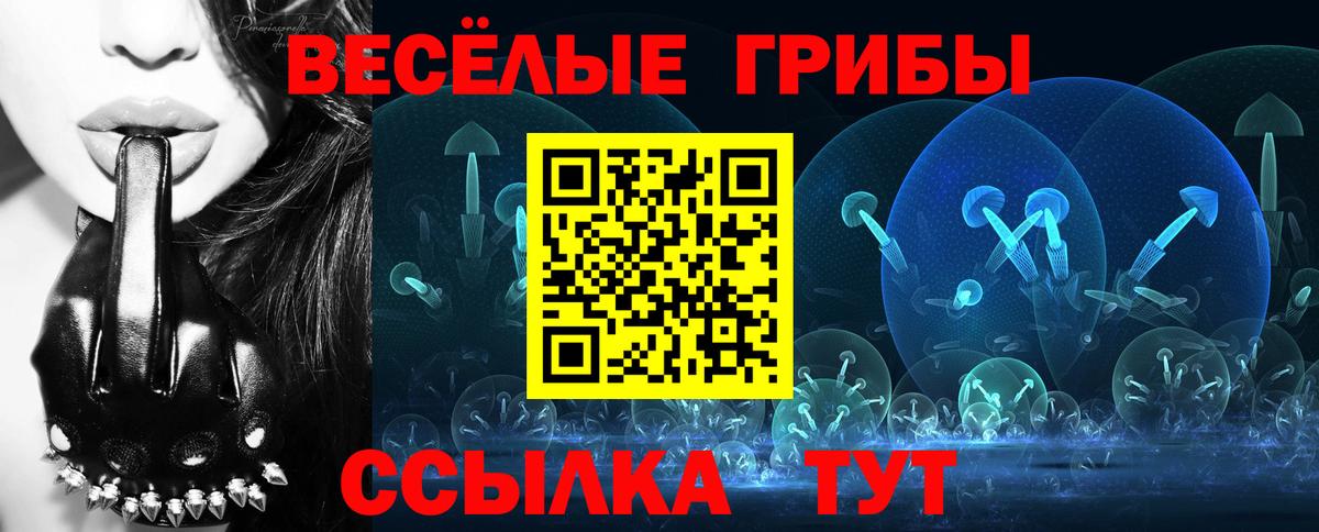 Псилоцибиновые грибы Psilocybe  Вход с VPN  Анжеро-Судженск  Псилоцибиновые грибы Psilocybe 